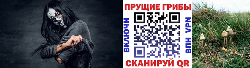 где продают   Белоярский  mega ССЫЛКА  Галлюциногенные грибы прущие грибы 